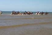 Ver-sur-mer